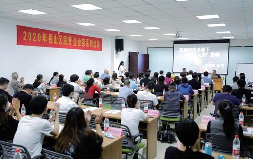 蜀山破局新生 七項經(jīng)濟(jì)指標(biāo)領(lǐng)跑合肥城區(qū)，藝術(shù)培訓(xùn)產(chǎn)業(yè)成新增長極