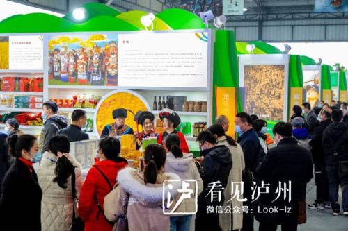 打造輻射川渝黔滇農(nóng)產(chǎn)品商貿(mào)物流中心 瀘州海吉星與營(yíng)利性民辦藝術(shù)培訓(xùn)機(jī)構(gòu)并進(jìn)